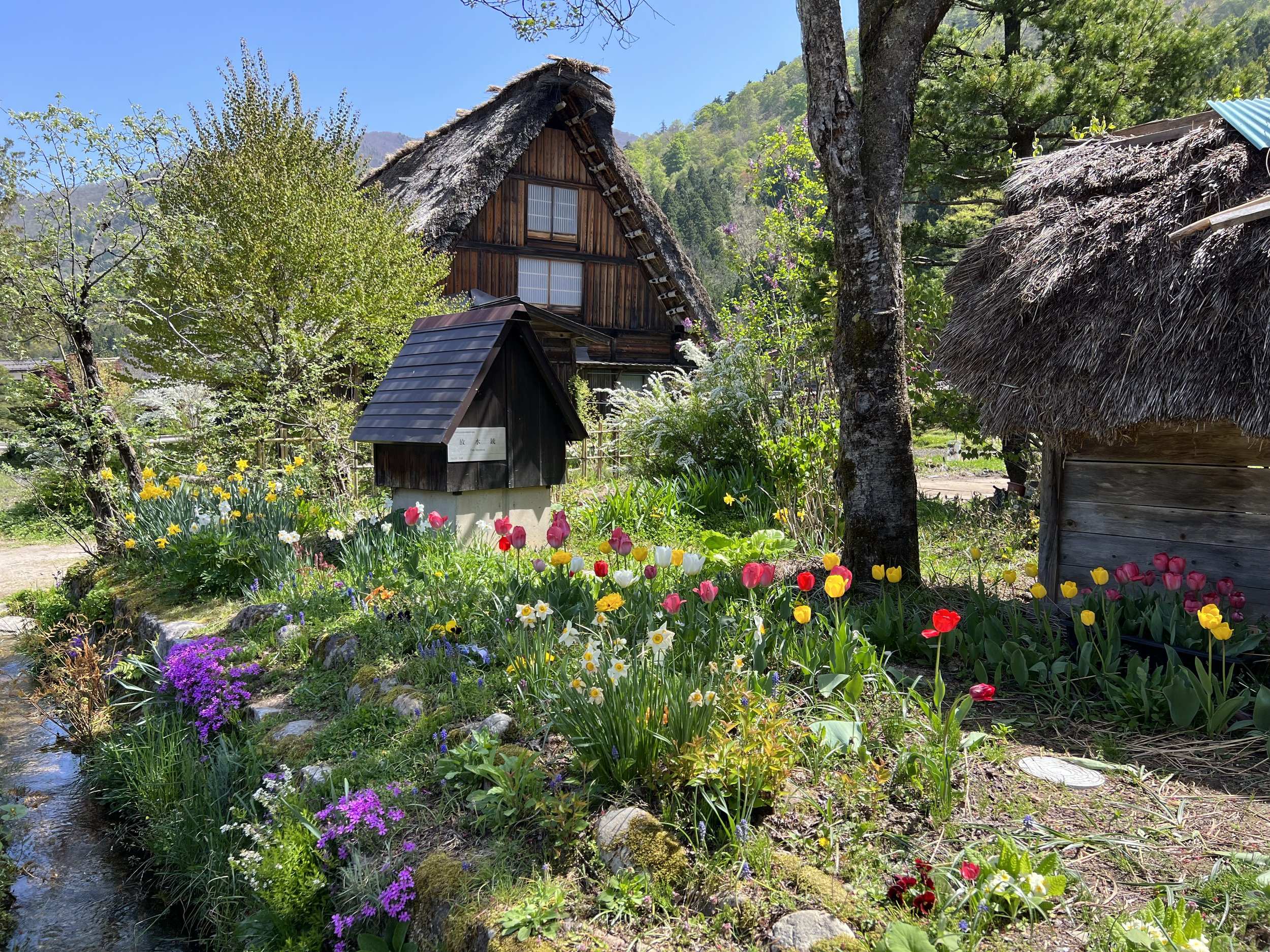 🌸 시라카와 플라워 월드(白河フラワーワールド) 이미지 5